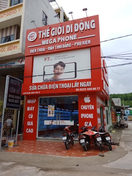 Thế Giới Di Động Mega Phone
