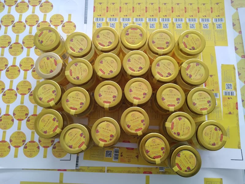 Hình ảnh Yến Sào YẾN BÌNH - 3