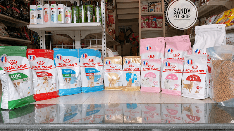 Hình ảnh Sandy Petshop Hue - 6