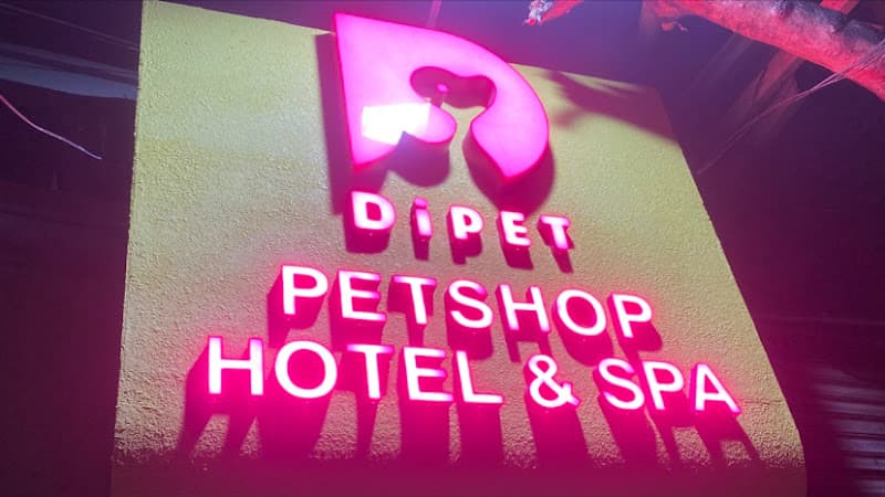Hình ảnh DIPET petspa và trông giữ chó mèo - 3
