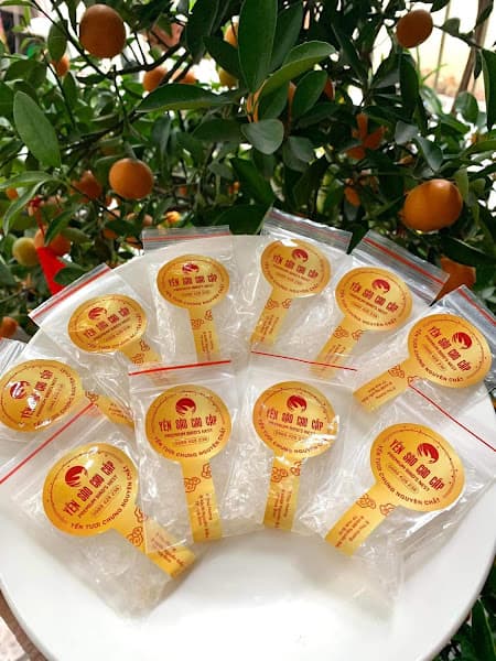 Hình ảnh Yến Sào Thu Hương (Hương Yến) - 4