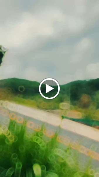 Hình ảnh THUÊ XE DU LỊCH ĐÀ LẠT - LÁ PHONG TRAVEL - 4