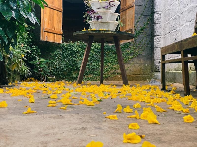 Hình ảnh May a coffee 98 Sư Vạn Hạnh Pleiku Gia Lai - 10