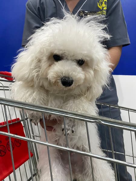 Hình ảnh Phòng Khám Thú Y Pet Health Centre Xuân Lộc - 3