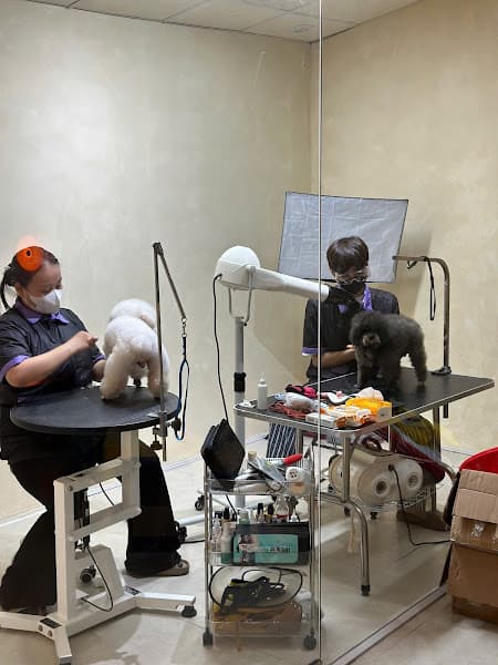 Hình ảnh Royal Paw Palace (Petshop) - 2