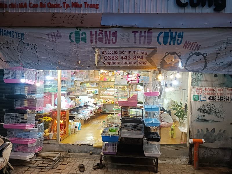 Hình ảnh BÁN HAMSTER, NHÍM, THỎ, MÈO NHA TRANG - 5