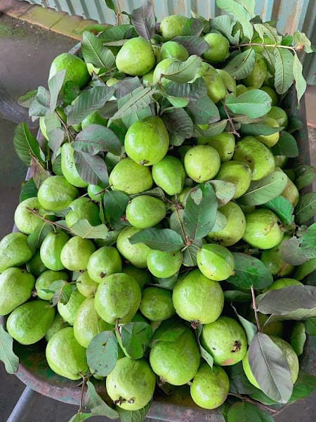 Hình ảnh Tiệm trái cây Bảnh Đào - 2