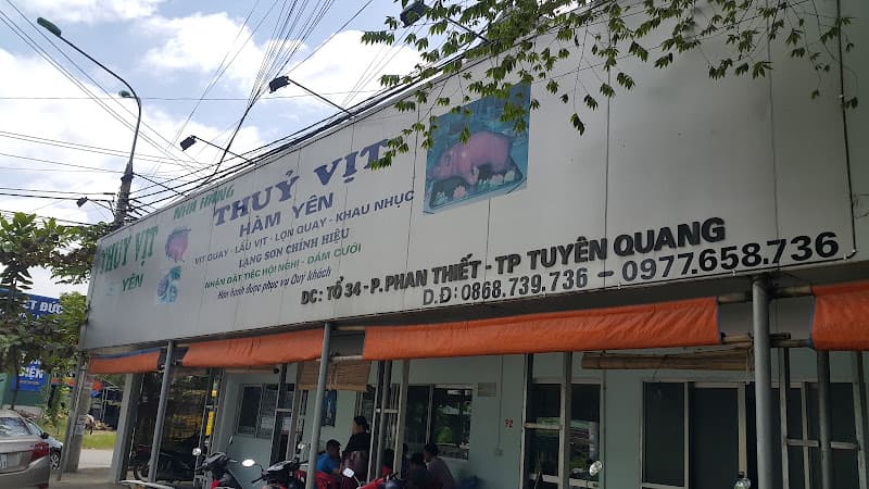 Thuỷ vịt Hàm yên