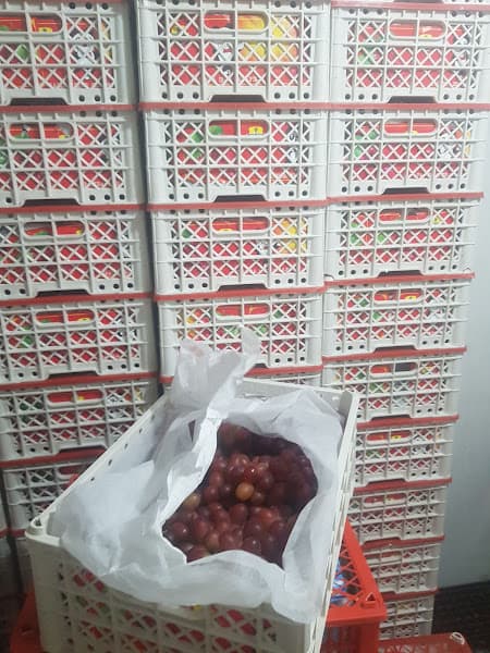 Hình ảnh Chuyên Cung Cấp Sỉ & Lẻ Các Loại Trái Cây - 6