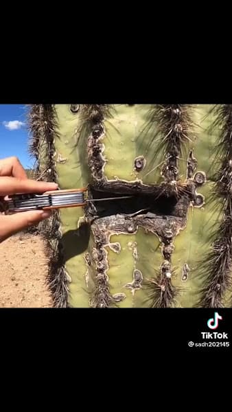 Hình ảnh Quán ăn gia đình Quốc Duy - 10