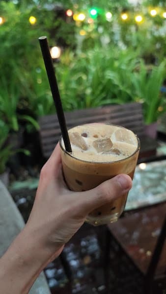 Hình ảnh Cú Trên Cây Coffee - 4