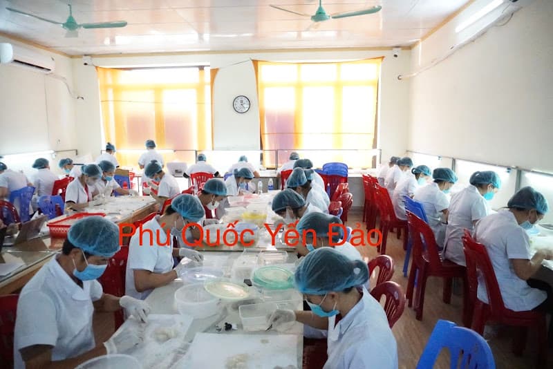 Ảnh bìa Yến Sào Phú Quốc