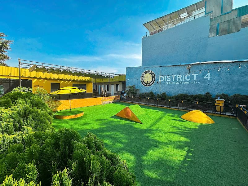 Hình ảnh District 4 Pet Hotel Resort & Spa - 6