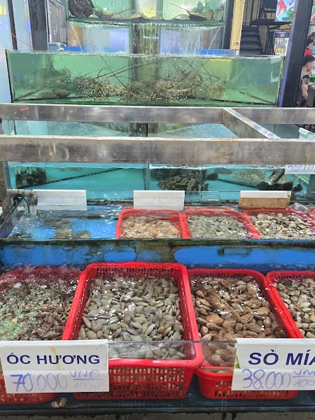 Hình ảnh ĐÀ THÀNH QUÁN - 4