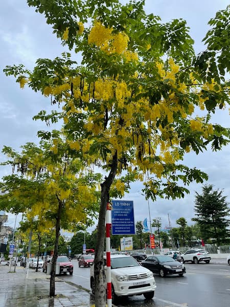 Hình ảnh CN Quảng Ninh - Ngân hàng TMCP Đầu tư & Phát triển Việt Nam (BIDV) - 8