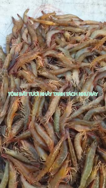 Hình ảnh Bánh xèo tôm nhảy-cơm văn phòng Bích Liên - 4