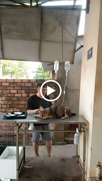 Hình ảnh Thú Y Long Tuyền - 2