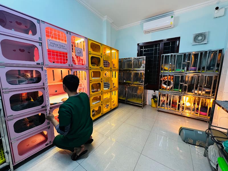 Ảnh bìa Bệnh viện thú y Mỹ Đình