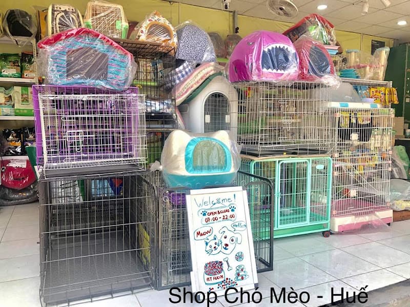 Hình ảnh SHOP CHÓ MÈO - HUẾ (cơ sở 3) 157 Phan Bội Châu - 5