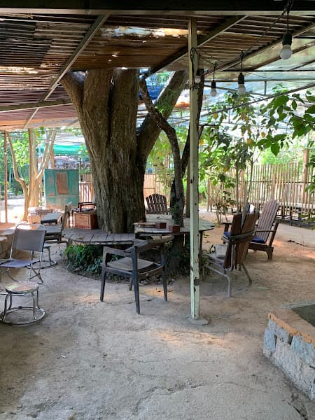 Hình ảnh The Lam - 4