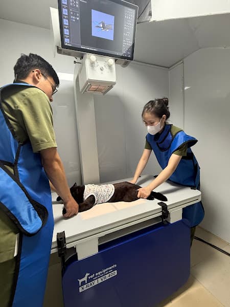 Hình ảnh Phòng Khám Thú Y Q&P PetLife - 2