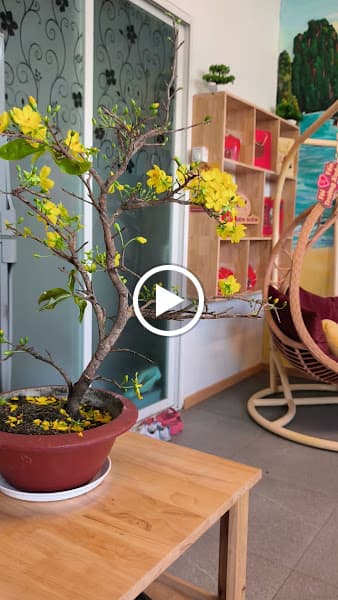 Hình ảnh Homestay Yến Trường Xuân - 3