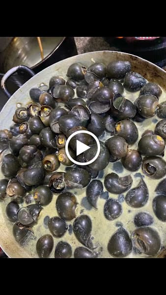 Hình ảnh Lươn Xứ Nghệ - 2