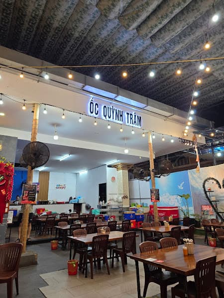 Hình ảnh ỐC QUỲNH TRÂM - 5
