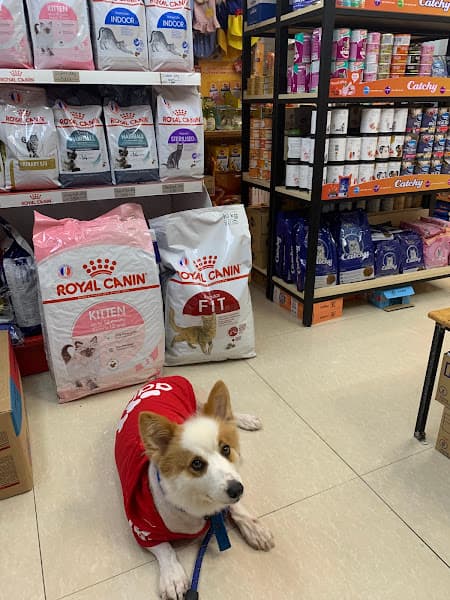 Hình ảnh Pet Smile ‍ Shop - 2