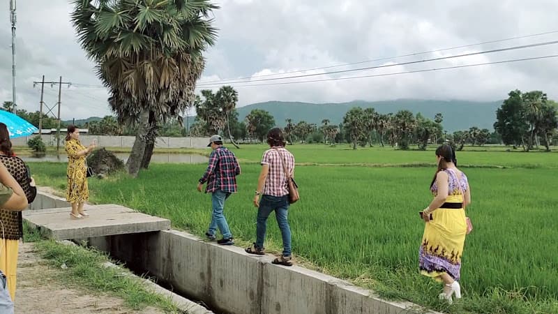 Hình ảnh Cánh đồng Thốt Nốt - Vĩnh Trung - An Giang - 3