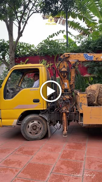 Hình ảnh POLOBI FAMILY - 2