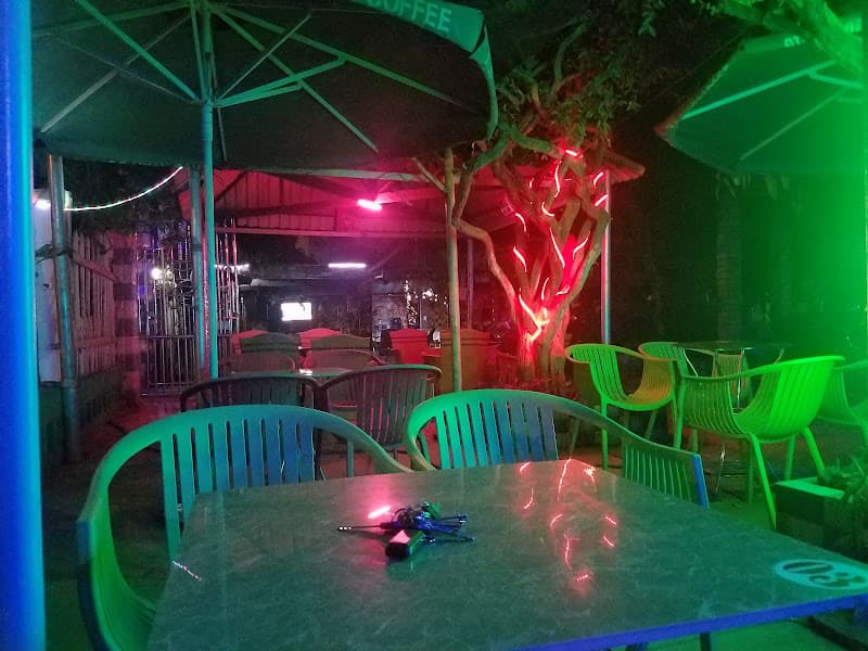 Hình ảnh Cà Phê Cây Sung - 2
