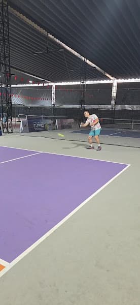 Hình ảnh Gecko Pickleball - 2