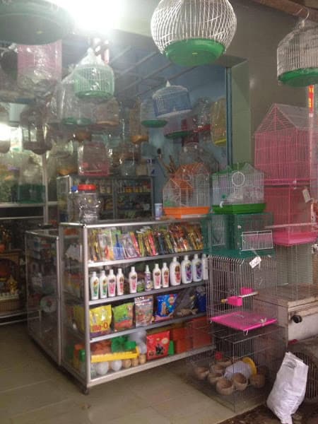 Ảnh bìa Thú Y Phong Linh