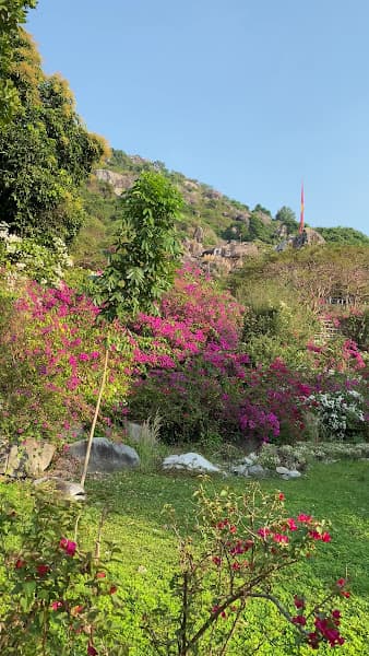 Hình ảnh Khu du lịch Đồi Tức Dụp - 4