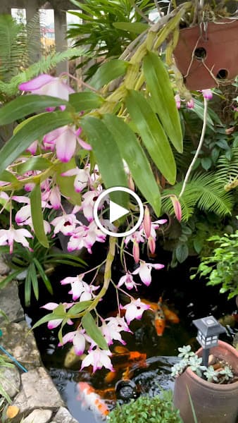 Hình ảnh Đô Đô Homestay - 2