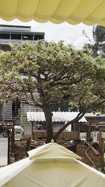 Hình ảnh MIND Cafe - 4