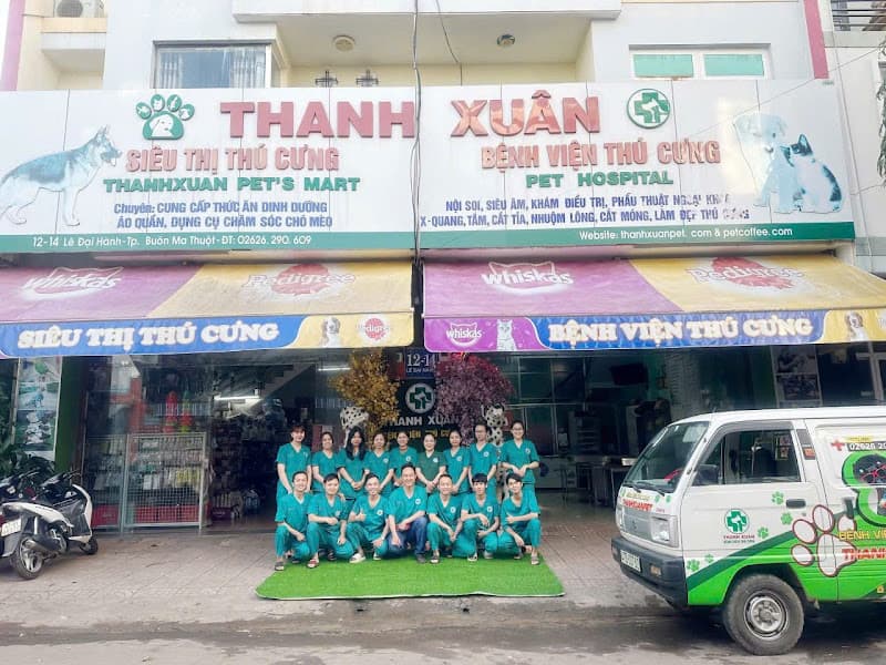 Hình ảnh THANH XUAN PET HOSPITAL - Bệnh viện thú cưng THANH XUÂN - 5