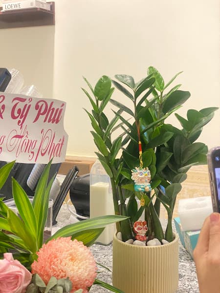 Hình ảnh Xanh Bơ - Quán Cafe, Sinh tố, Kem trái cây - 3