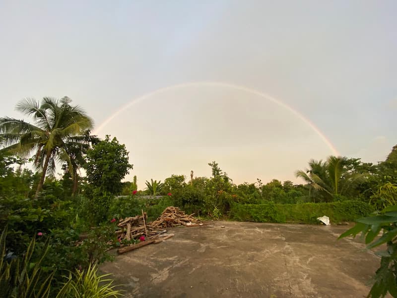 Hình ảnh VƯỜN CÂY ĂN TRÁI CHÚ BẢY- DÌ TÁM - 4