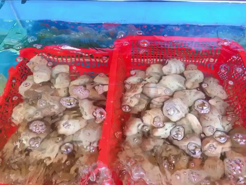 Hình ảnh Quán Ăn Hải Sản Hoàng Đế - 4