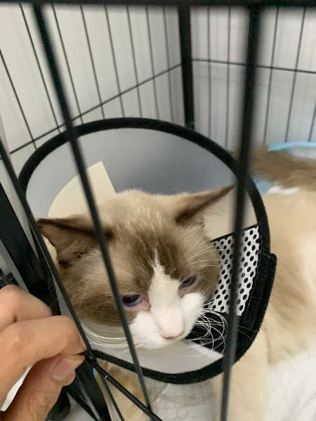 Phòng khám Thú y Đồng Hành Cần Thơ