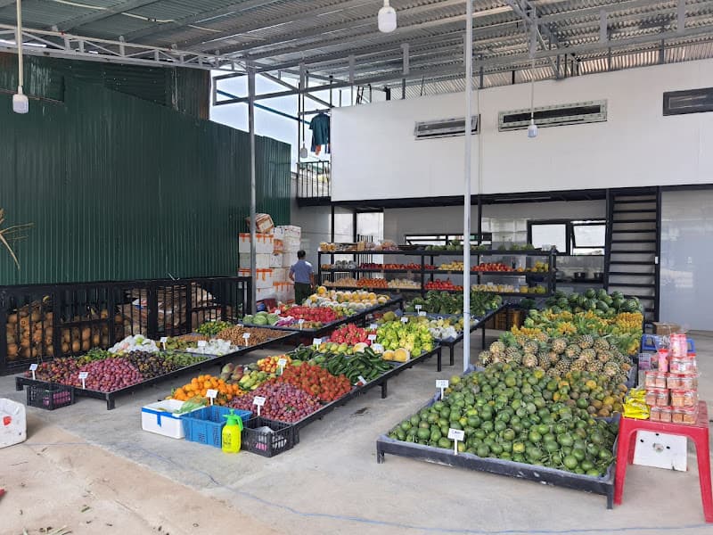 Hình ảnh Trái Cây Vân Khoa - 2