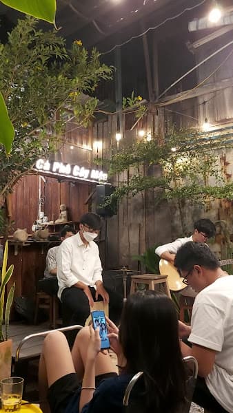 Hình ảnh Cây Mận Cà Phê - 2