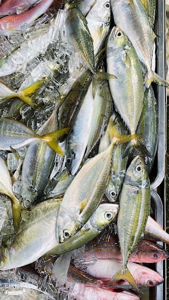 Hình ảnh HẢI SẢN TƯƠI SỐNG TOÀN THỊNH PHÁT - 3