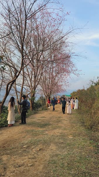 Hình ảnh Mộng Đào Nguyên - 2