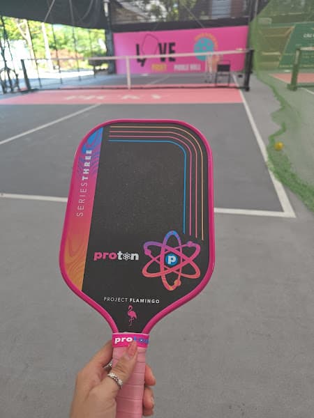 Hình ảnh Picky Pickleball - 3