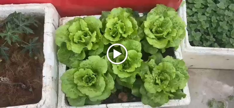 Hình ảnh Nhà Hàng Bảo Khuyên - 5