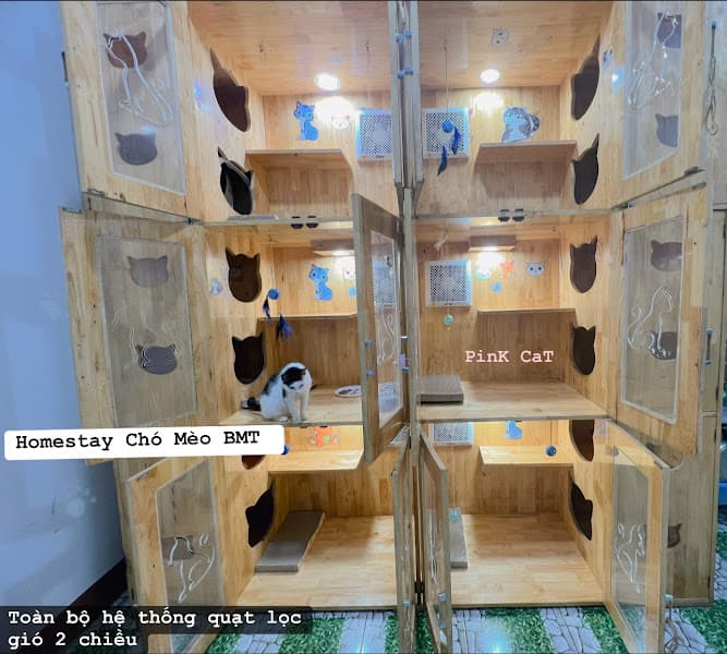 Hình ảnh Pate Tươi Sạch Chó Mèo BMT - 2