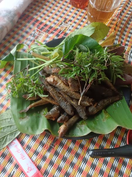 Hình ảnh Thảo nguyên - 3